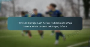 Tostão: Bijdragen aan het Wereldkampioenschap, Internationale onderscheidingen, Erfenis